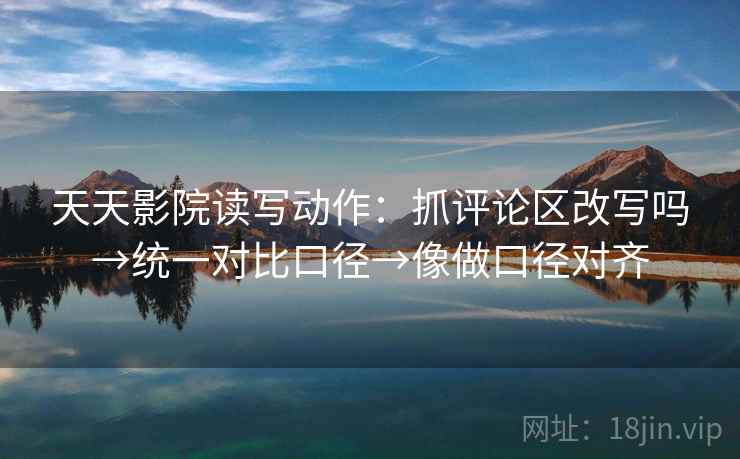 天天影院读写动作：抓评论区改写吗→统一对比口径→像做口径对齐